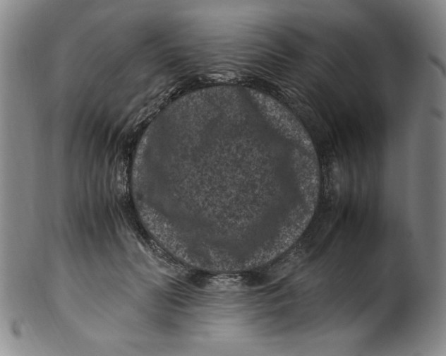 X0000100380606200806271336