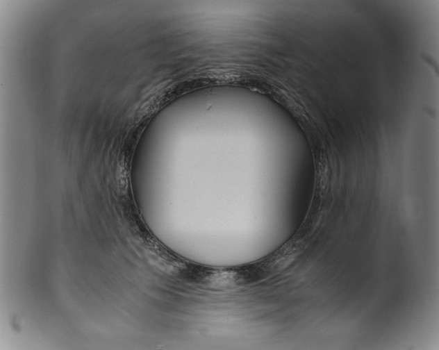 X0000100380609200806271336