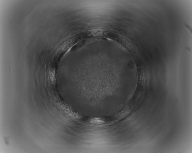 X0000100380610200806271336
