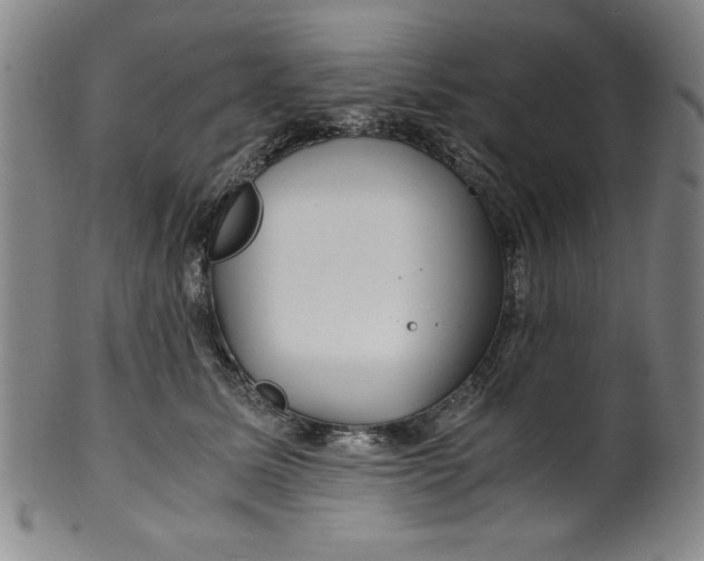 X0000100380611200806271336