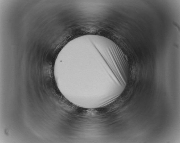 X0000100380612200806271336