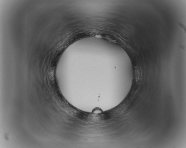 X0000100380613200806271336