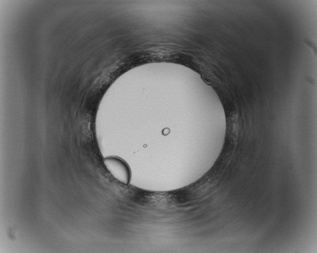 X0000100380615200806271336