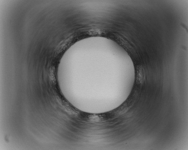 X0000100380616200806271336