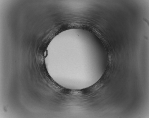 X0000100380617200806271336