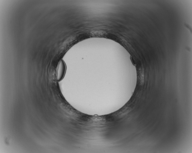 X0000100380619200806271336