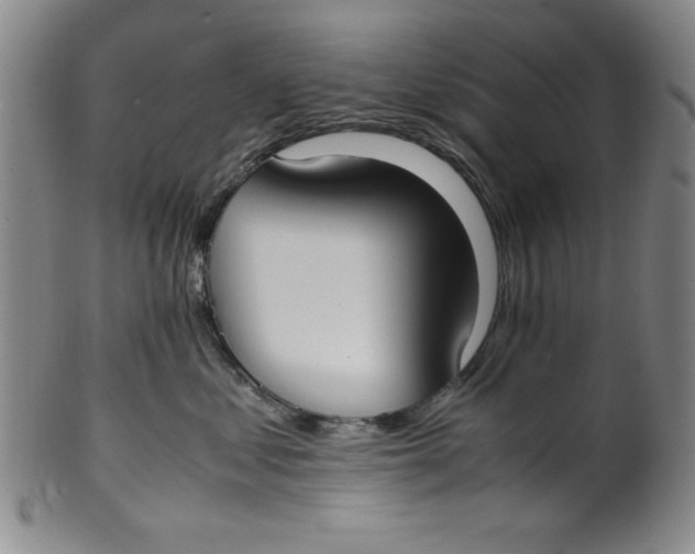 X0000100380621200806271336