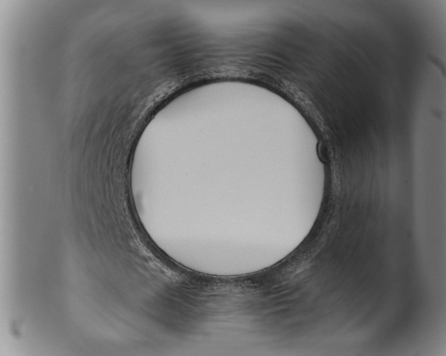 X0000100380625200806271335