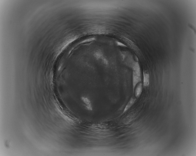 X0000100380627200806271335