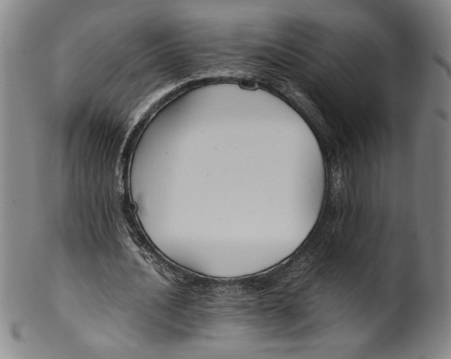 X0000100380628200806271335