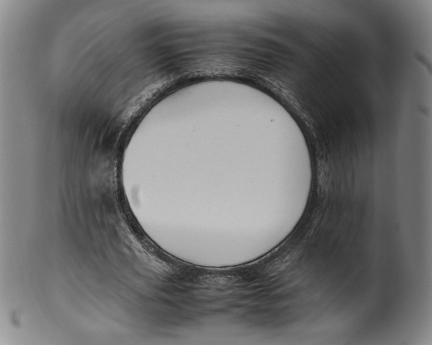 X0000100380629200806271335