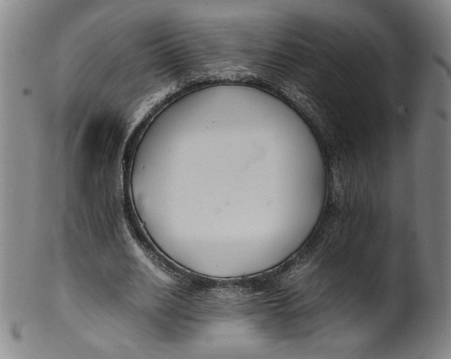 X0000100380630200806271335