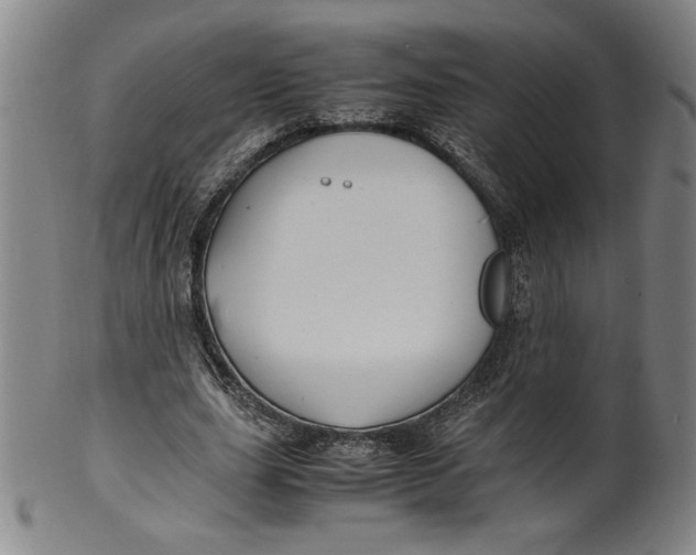 X0000100380631200806271335