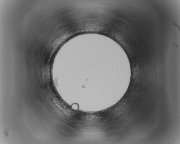 X0000100380632200806271335