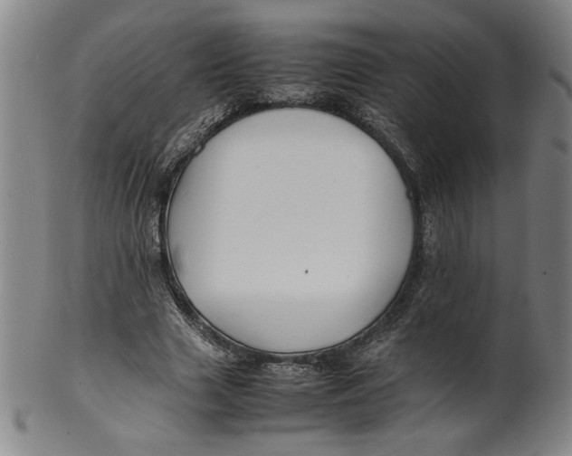 X0000100380633200806271335