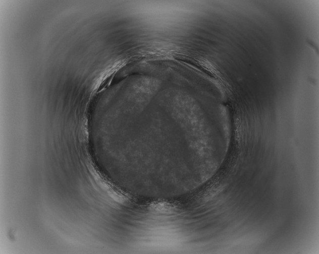 X0000100380634200806271335