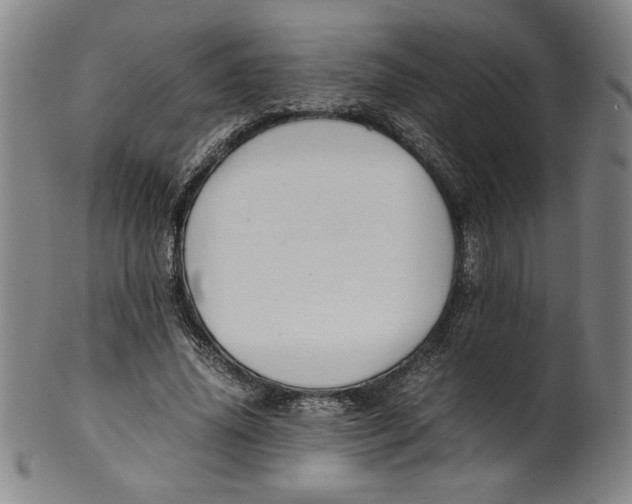 X0000100380636200806271335