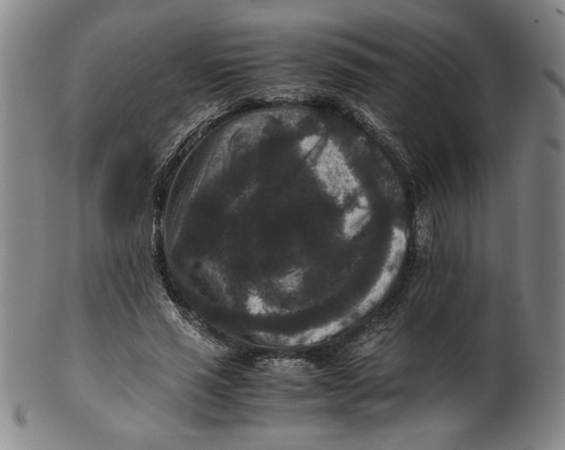X0000100380637200806271335