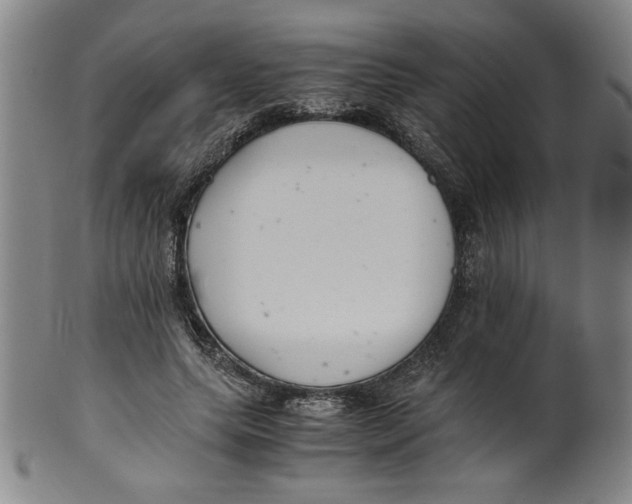 X0000100380639200806271335