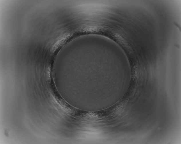 X0000100380640200806271335