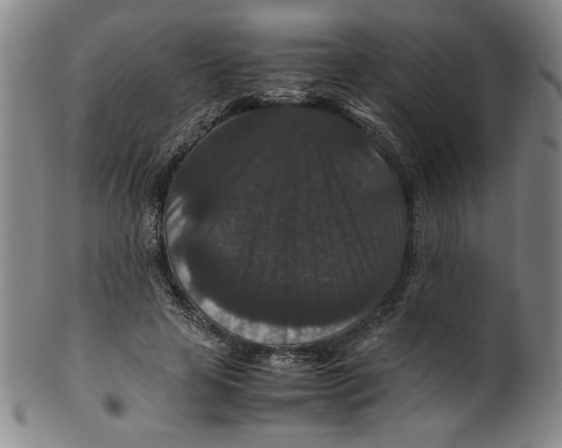 X0000100380641200806271335