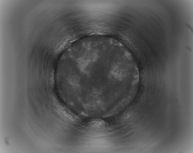 X0000100380642200806271335