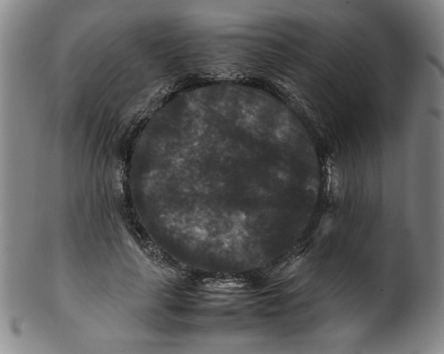 X0000100380643200806271335