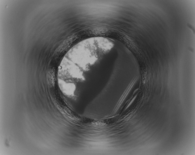 X0000100380644200806271335