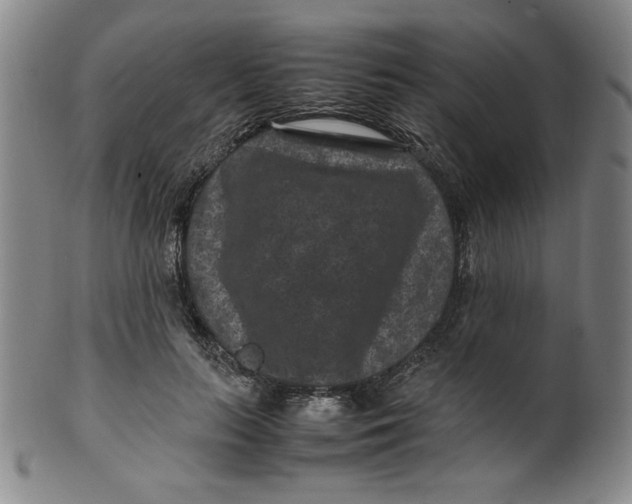 X0000100380647200806271335