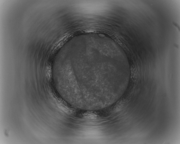 X0000100380648200806271335