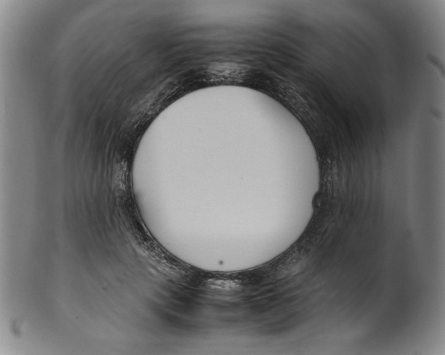 X0000100380649200806271335