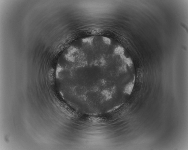 X0000100380650200806271335