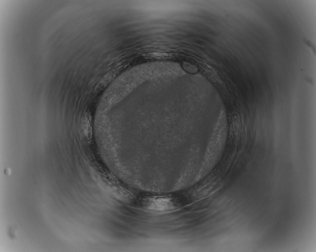 X0000100380651200806271335