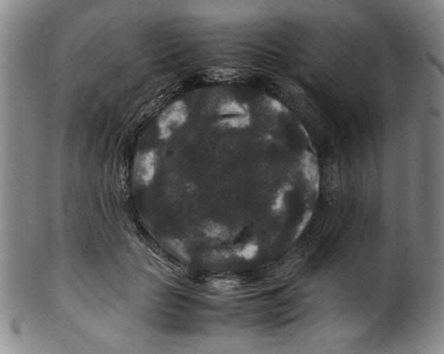 X0000100380653200806271335
