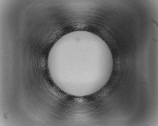 X0000100380654200806271335