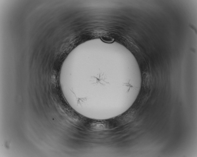 X0000100380655200806271335