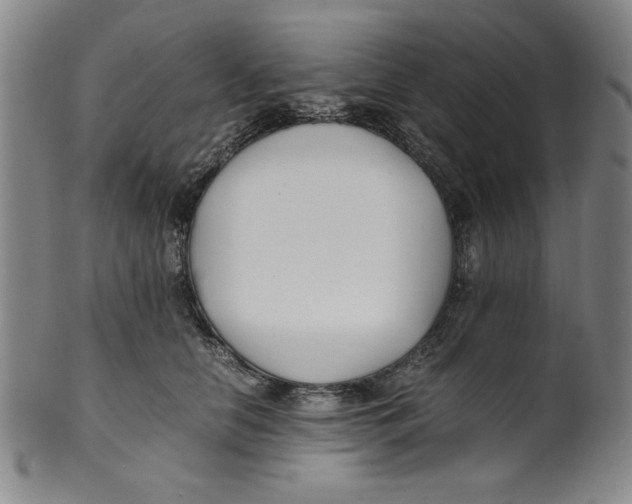 X0000100380658200806271335