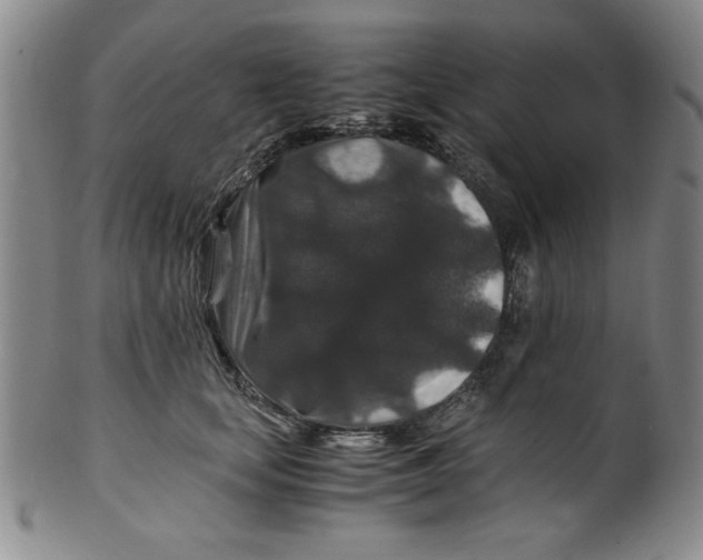 X0000100380659200806271335