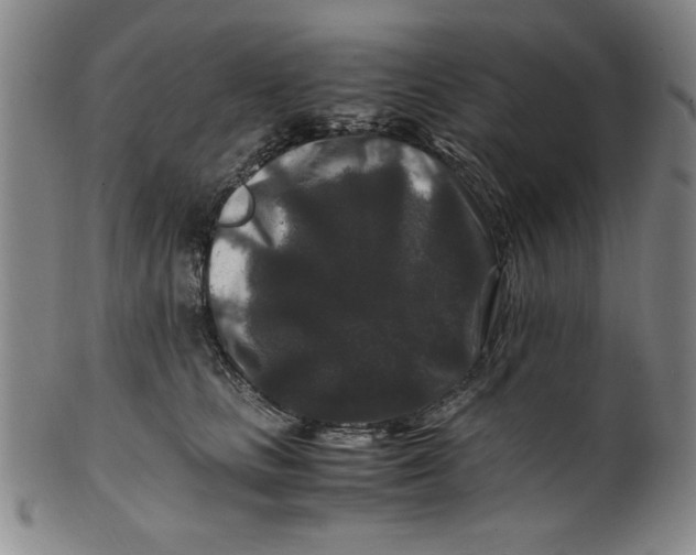 X0000100380661200806271335