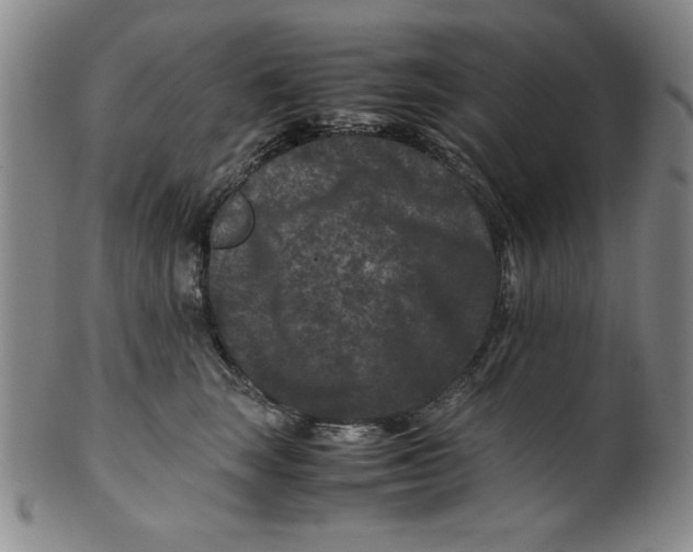 X0000100380663200806271336