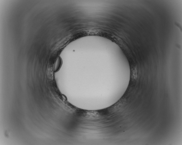 X0000100380666200806271336