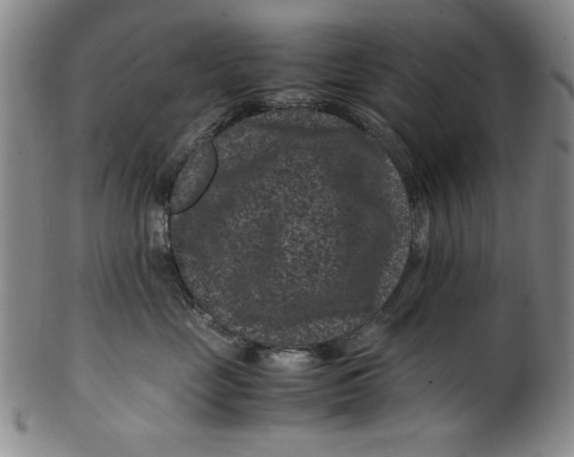 X0000100380669200806271336