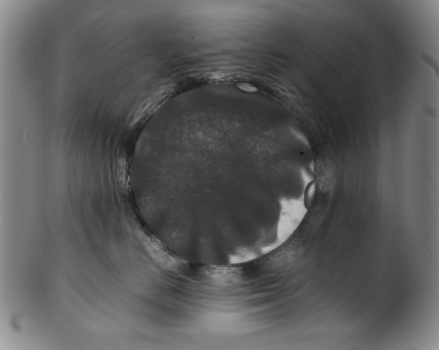 X0000100380670200806271336