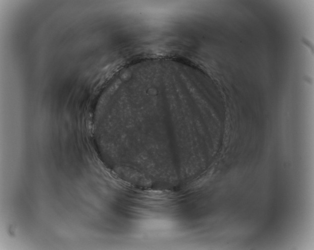 X0000100380672200806271336