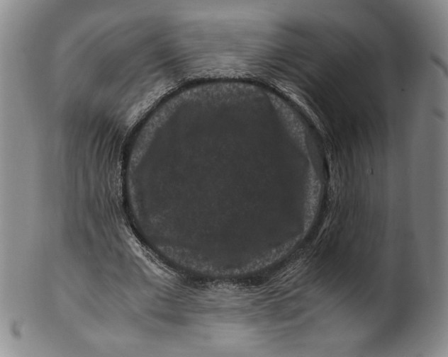 X0000100380677200806271335