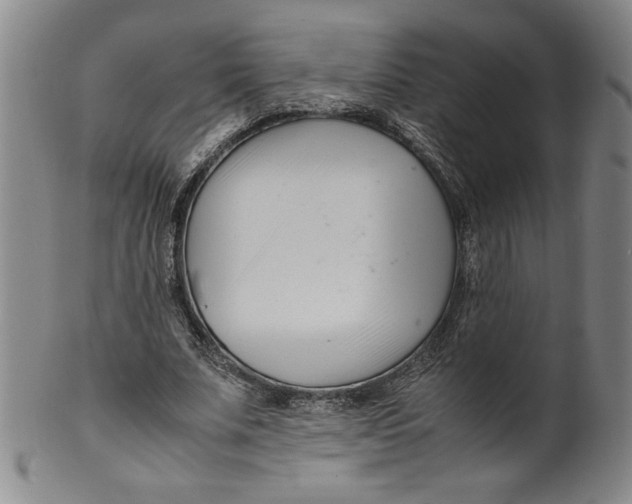 X0000100380679200806271335