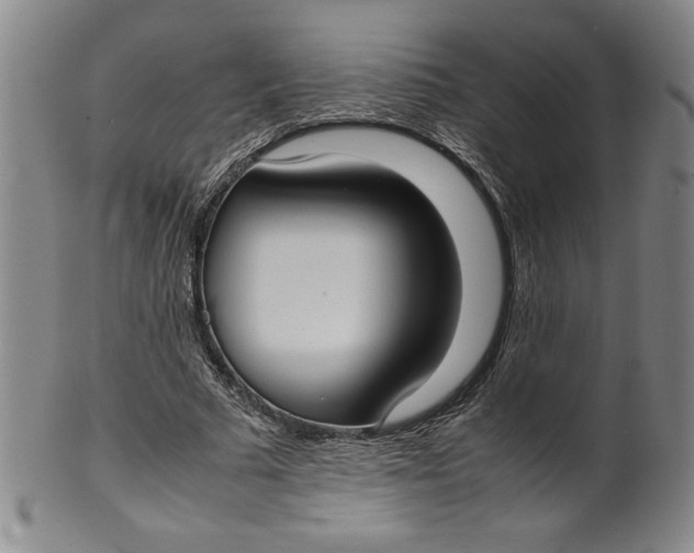 X0000100380681200806271335