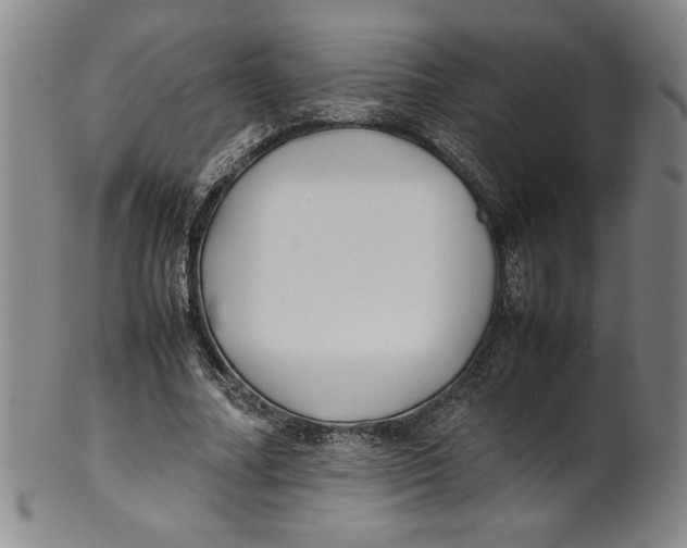 X0000100380682200806271335