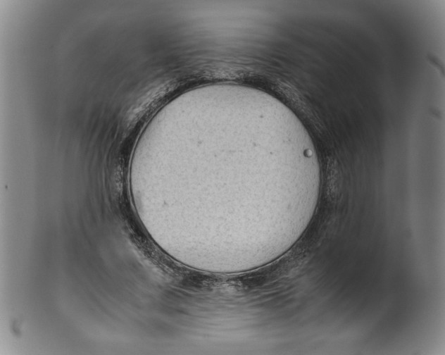 X0000100380683200806271335