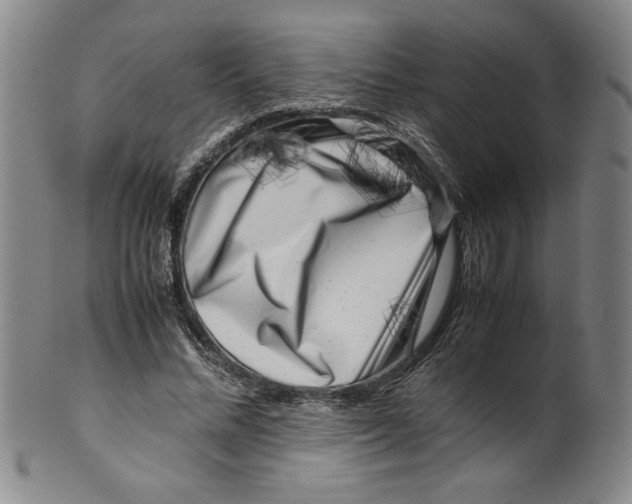 X0000100380684200806271335